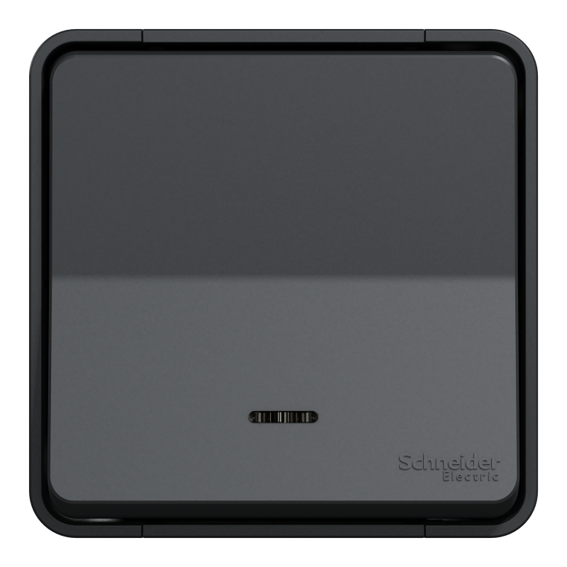 Schneider Electric - Mureva Styl - Bouton poussoir lumineux LED saillie IP55 IK08 gris - MUR35028 - 2