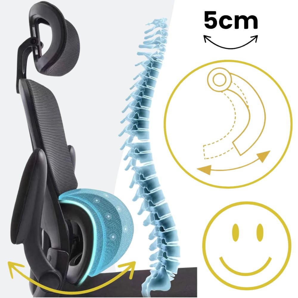 Chaise de bureau avec accoudoirs Fauteuil ergonomique pivotant avec support lombaire et appui-tête réglable, dossier pivotant - Noir - 2