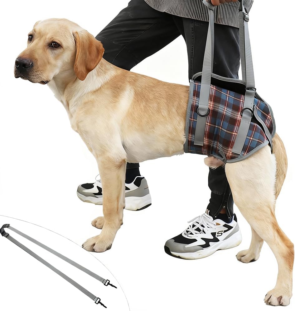 Colete de elevação para cães, suporte para as patas traseiras, auxiliar para levantar e caminhar, com alças ajustáveis e respiráveis para as costas e - 3