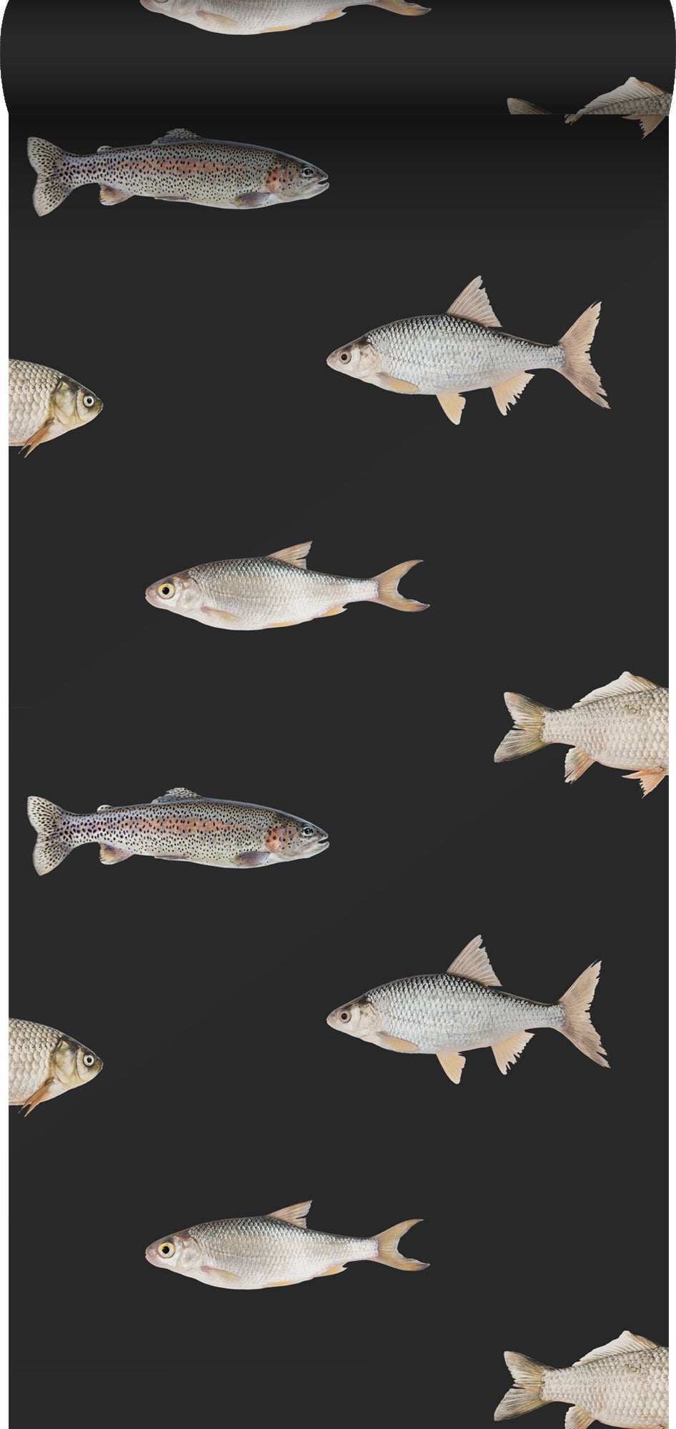 Tapeta Wędkarstwo czarnymIszarym - 50 x 900 cm - ESTAHOME