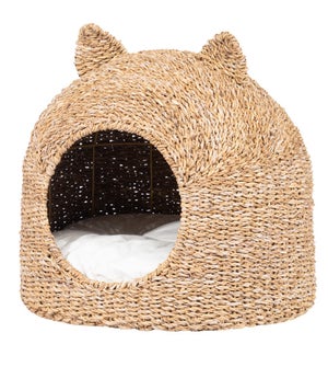 Cuccia Rialzata Ferplast Throne Per Cani E Gatti, Con Cuscino In Cotone Lavabile, Base In Plastica Riciclata, 61,5x45x26 Cm, Bianca