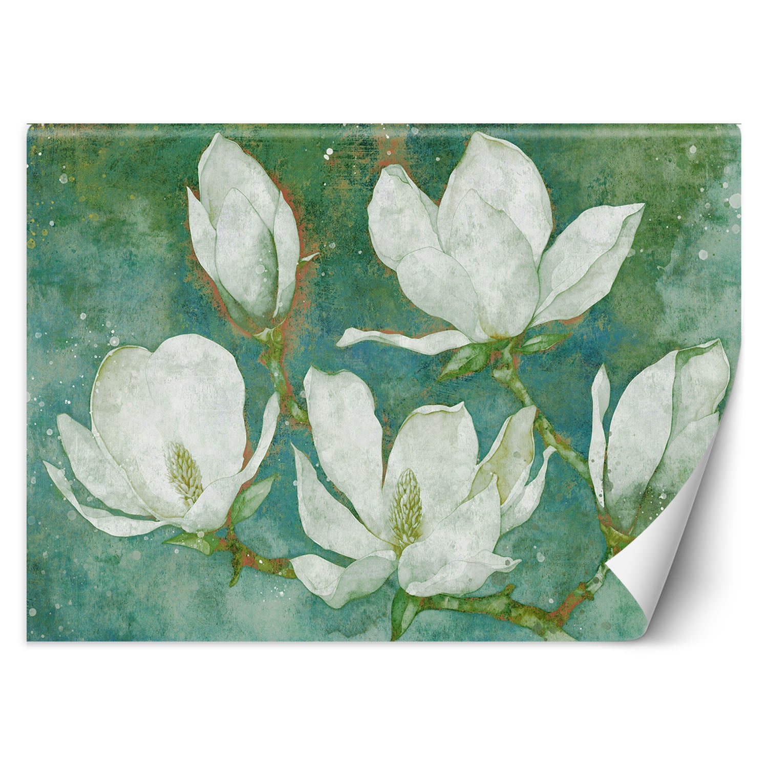 Fototapeta, Kwitnące magnolie abstrakcja 400x280