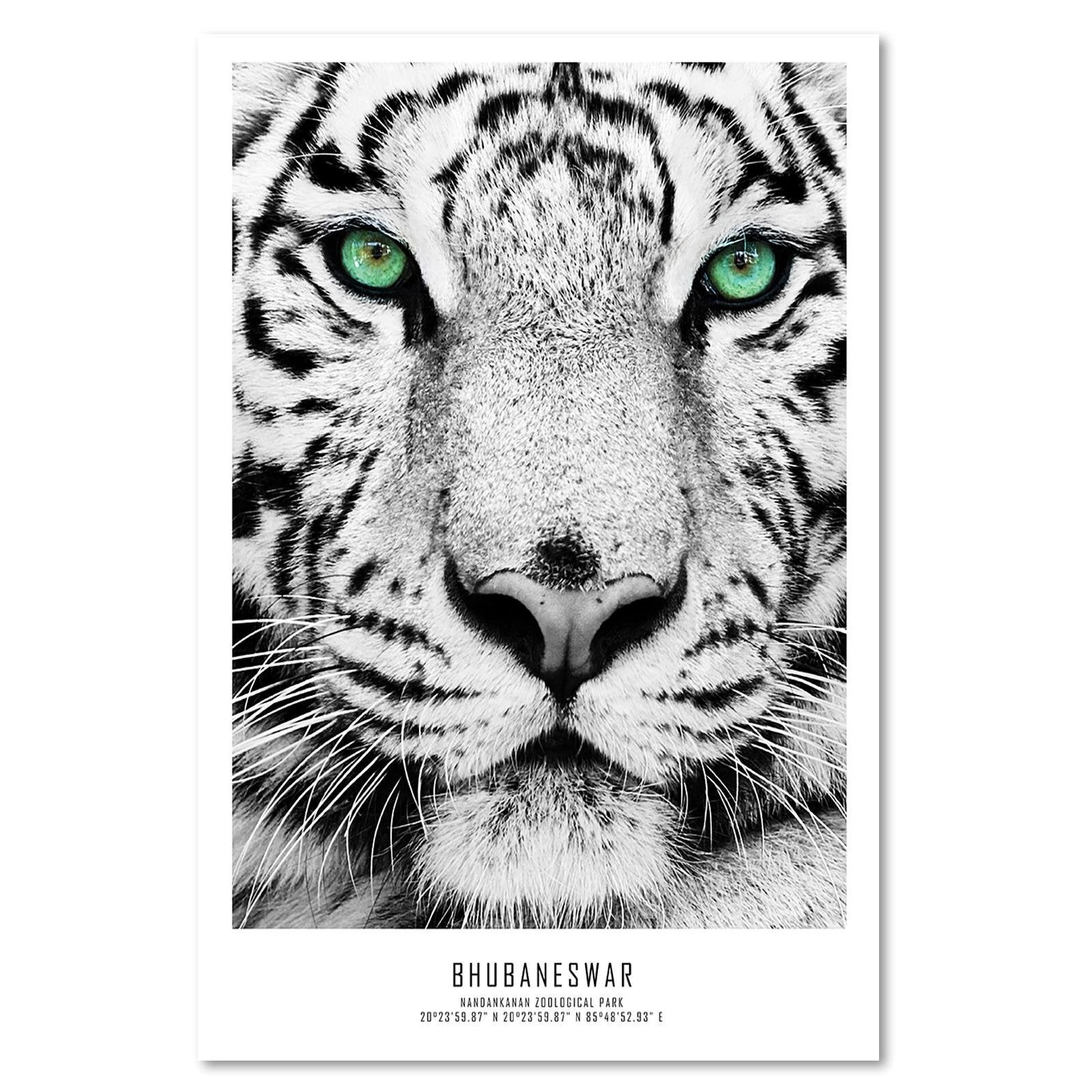 Tableau tigre blanc bois - 80 x 120 cm - 2