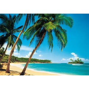 Papier Peint Photo Wallario – Seychelles Palmiers Plage – Intissé, Bleu – Fabrication Allemande
