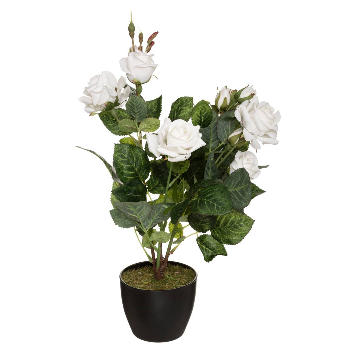Rosier Artificiel Pot Ciment H43cm Blanc - Atmosphera Créateur d'intérieur - 4