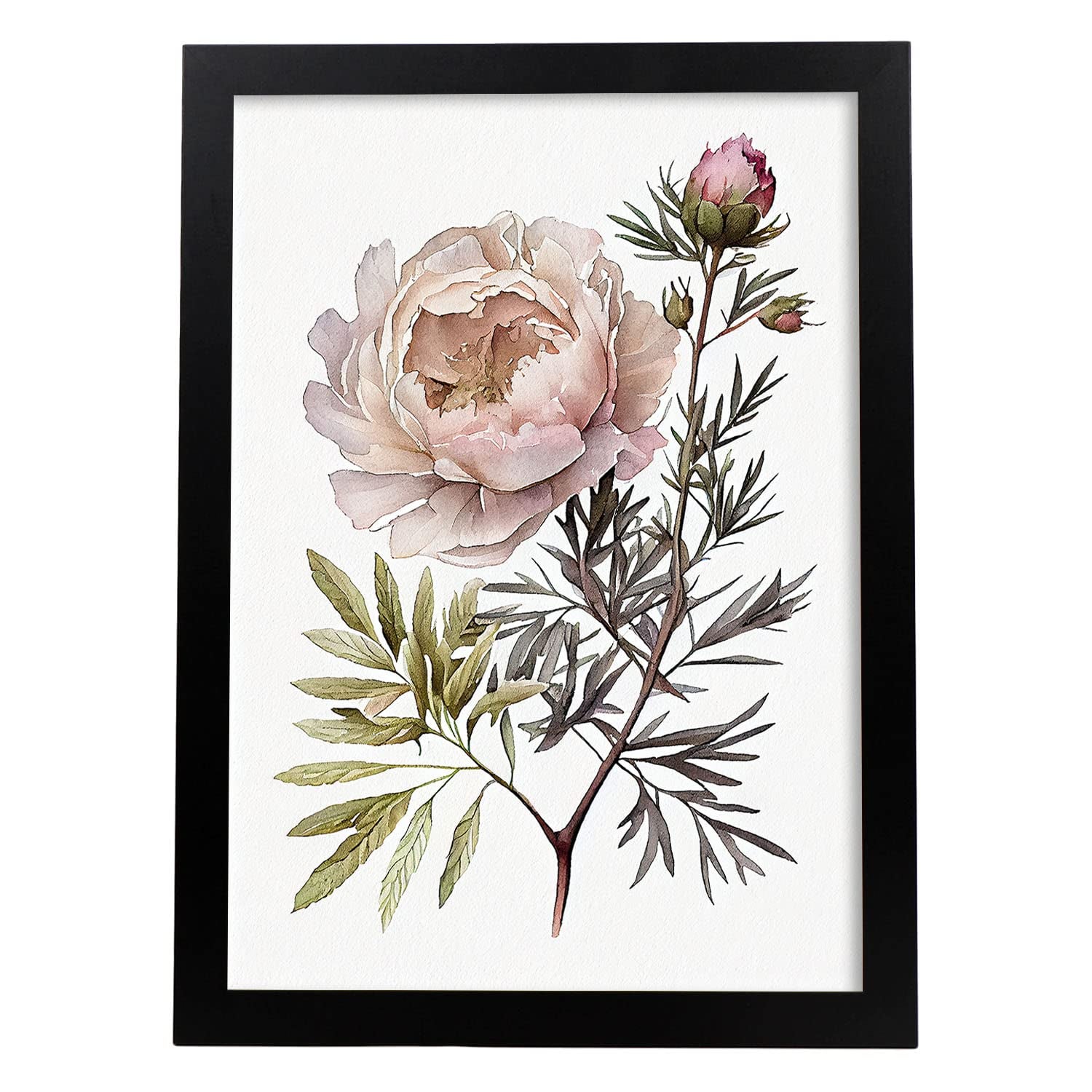 Nacnic poster de peonía estilo nórdico ilustraciones de botánica con flores y plantas en acuarela diseño moderno y modelo 1 a3 con marco negro