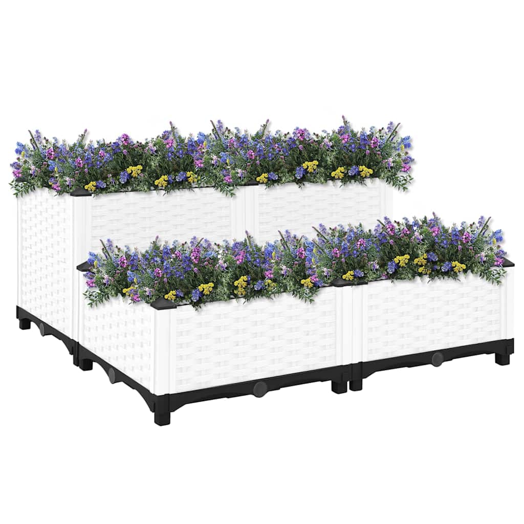 Rectangulaire