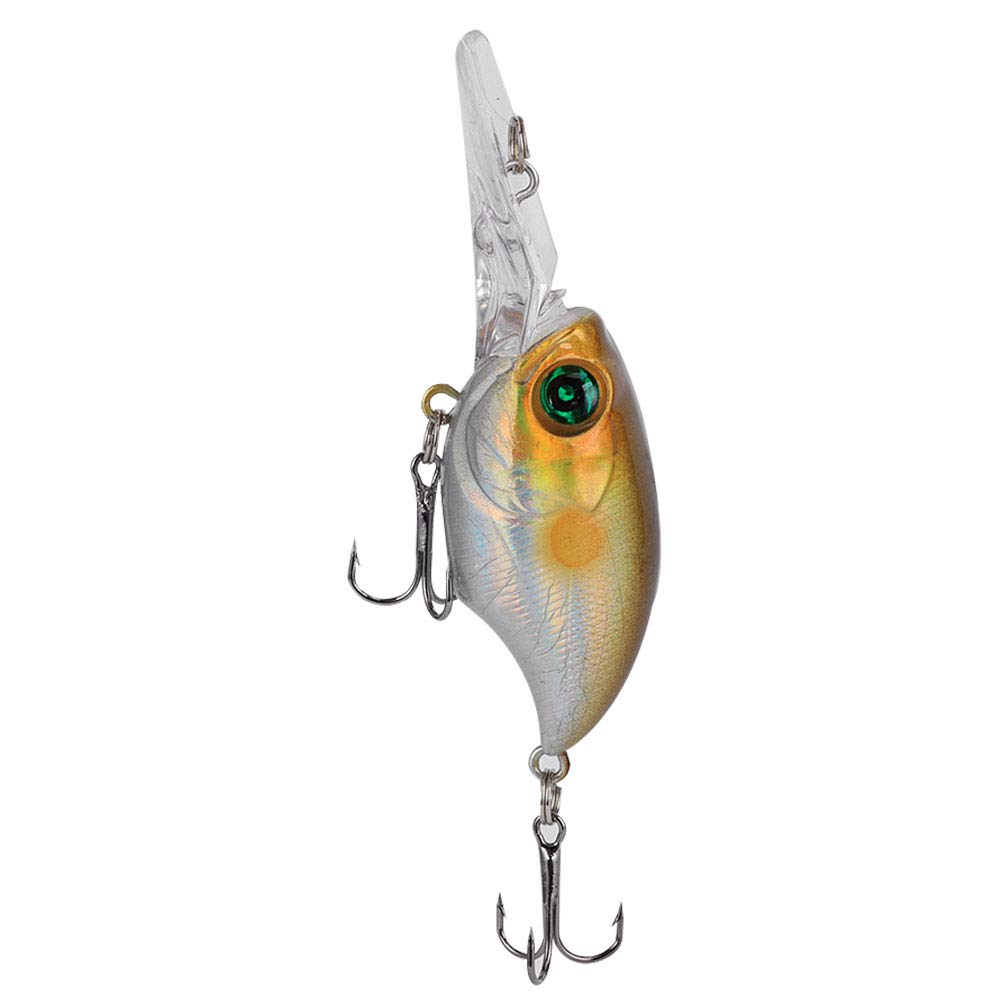 Poissons-appâts à appâts à appâts de plongée moyenne
