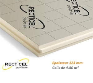 Eurotoit® Montagne 123 mm Colis de 4.80 m² R5.55 Panneau polyuréthane 1200X1000 mm pour le toit de marque Recticel