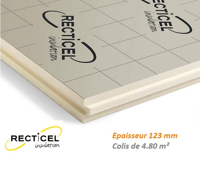 Eurotoit® M 123 mm Colis de 4.80 m² R5.55 Panneau polyuréthane 1200X1000 mm pour le toit de marque Recticel