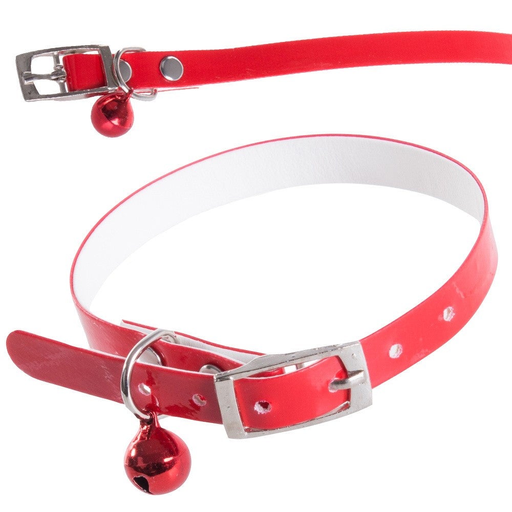 Collier pour chien et chat - C011