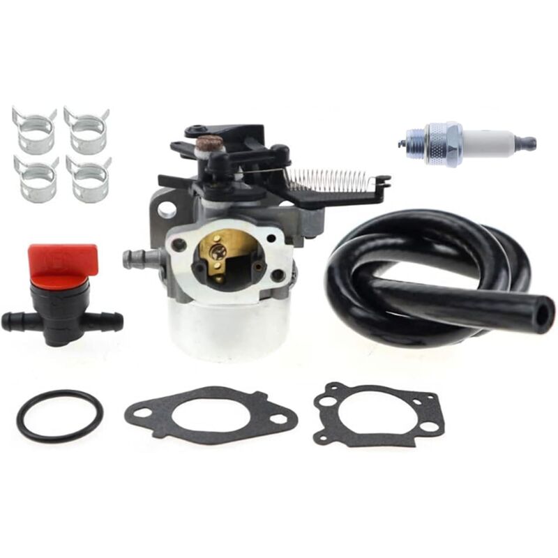 796608 carburateurs pour moteurs Briggs & Stratton 591137 590948 select ...