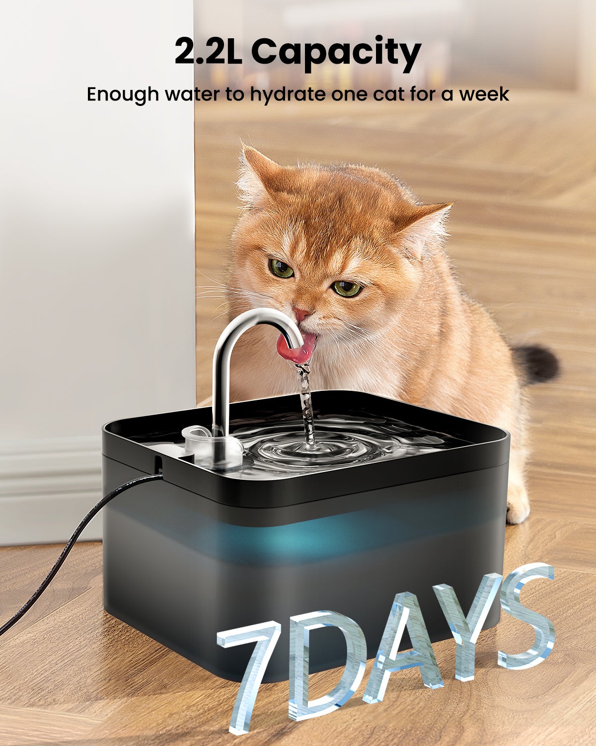 2,2L Fontaine à Eau pour Chat, Super Silencieuse, Facile à Mettoyer, Fontaine a Eau avec LED, Convient à Plusieurs Animaux de Compagnie (Noir) - 4