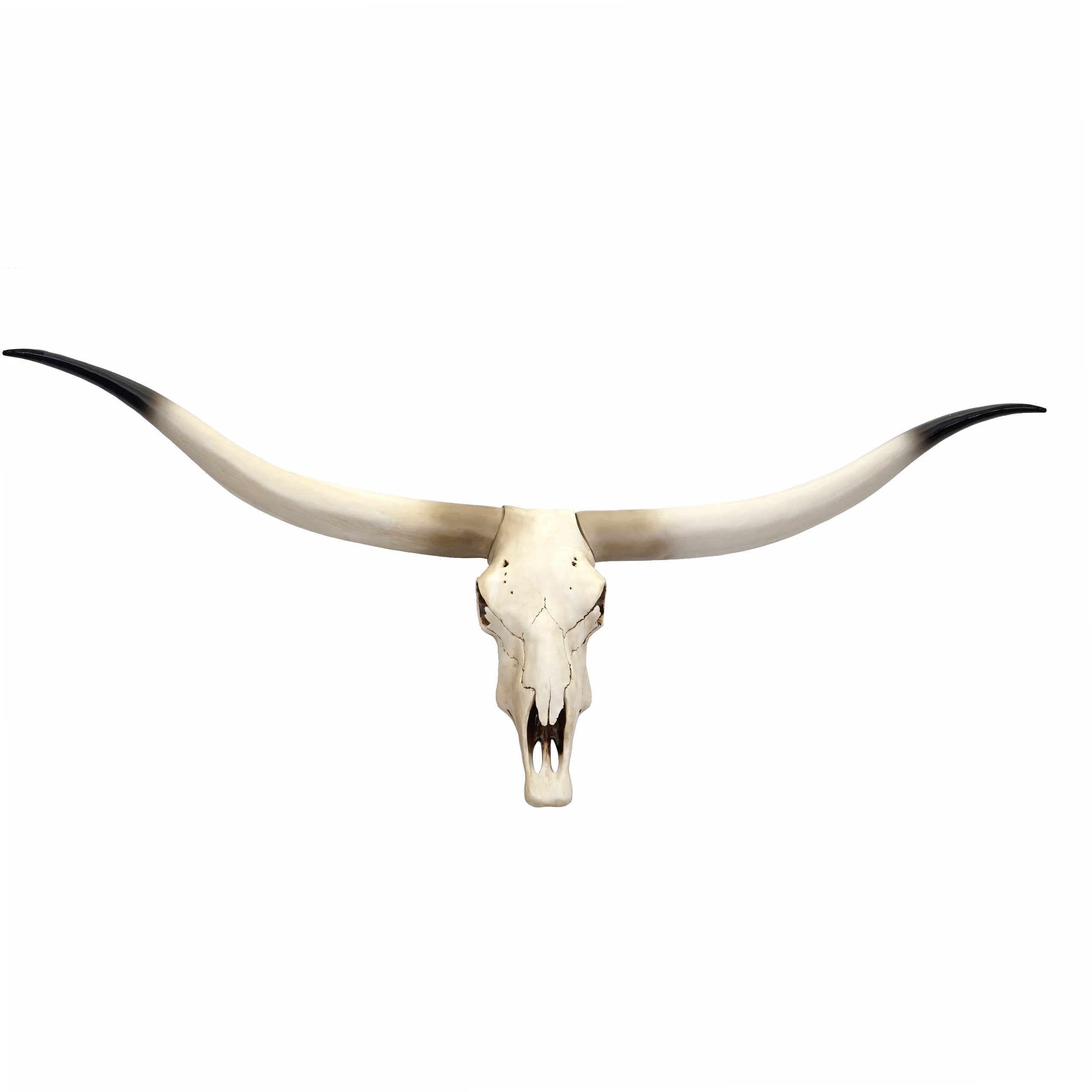 Decorazione da parete a forma di teschio di toro, fatta a mano, in finto stile tassidermia, da appendere alla parete, per la decorazione della casa