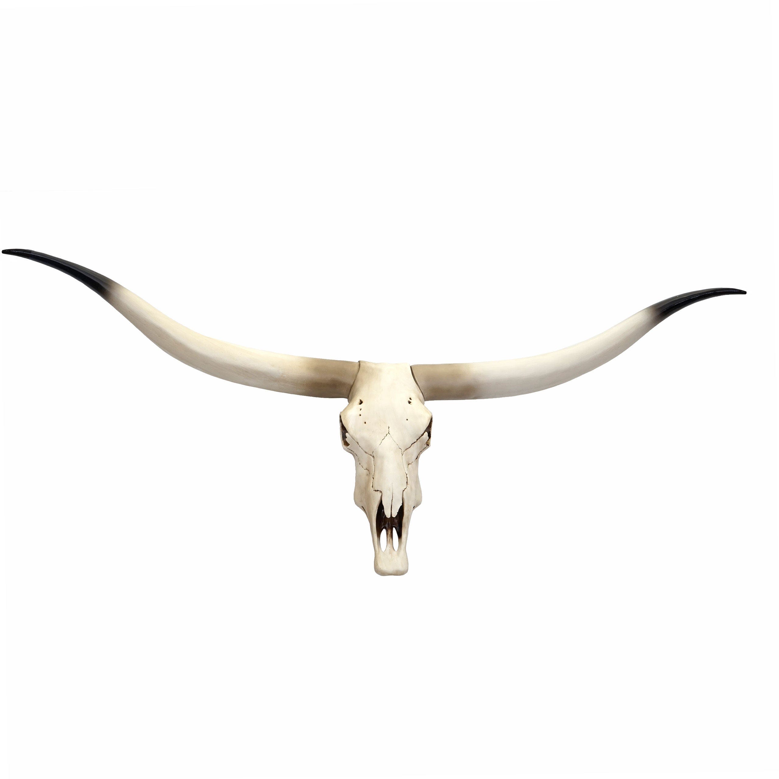 Decorazione da parete a forma di teschio di toro, fatta a mano, in finto stile tassidermia, da appendere alla parete, per la decorazione della casa Decorazione da parete a forma di teschio di toro, fatta a mano, in finto stile tassidermia, da appendere alla parete, per la decorazione della casa