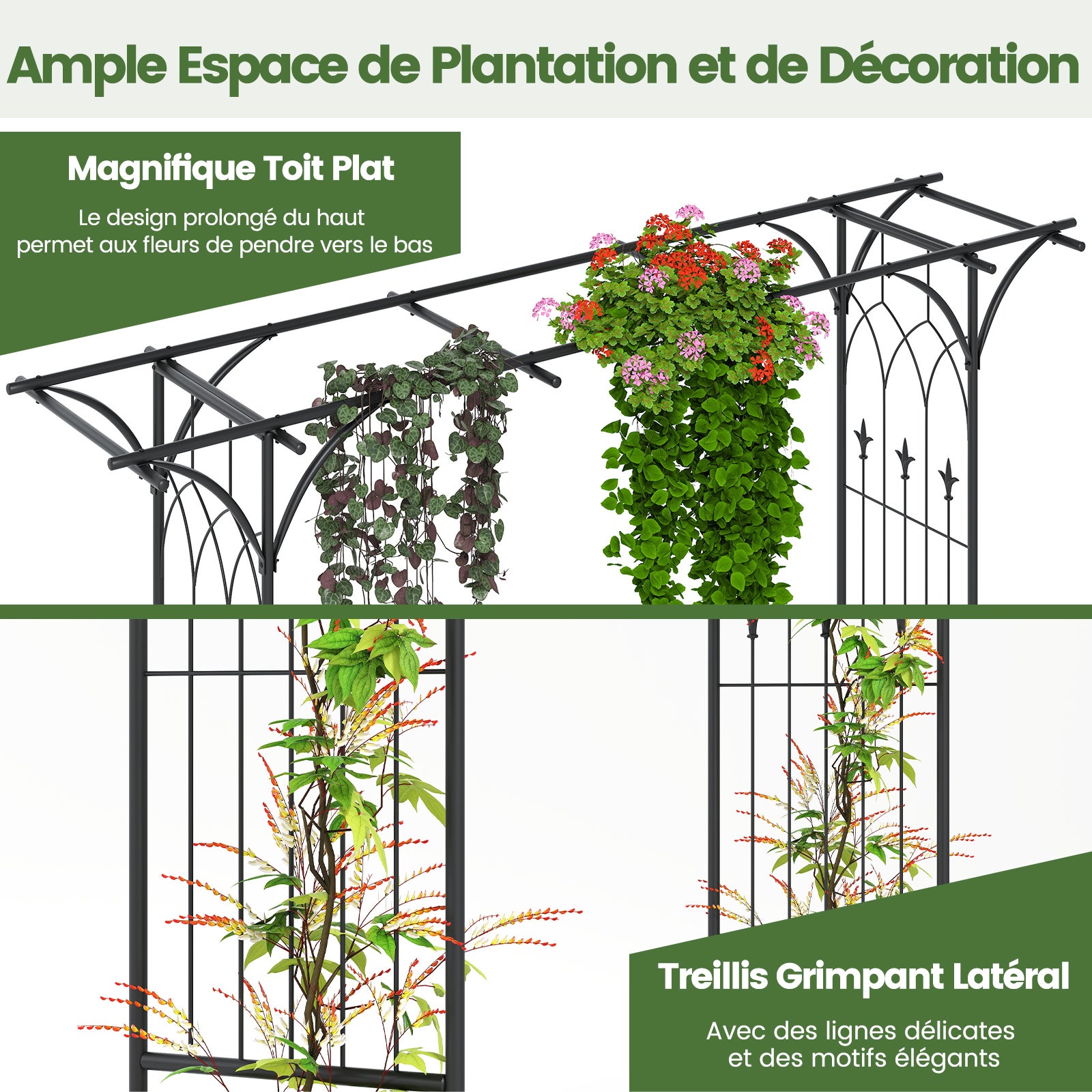 Arche de Jardin en Métal pour Plantes Grimpantes, Arceau à Rosiers en Treillis Extérieur 205x52x206CM, Support de Toile de Fond Élégant, Noir - 6