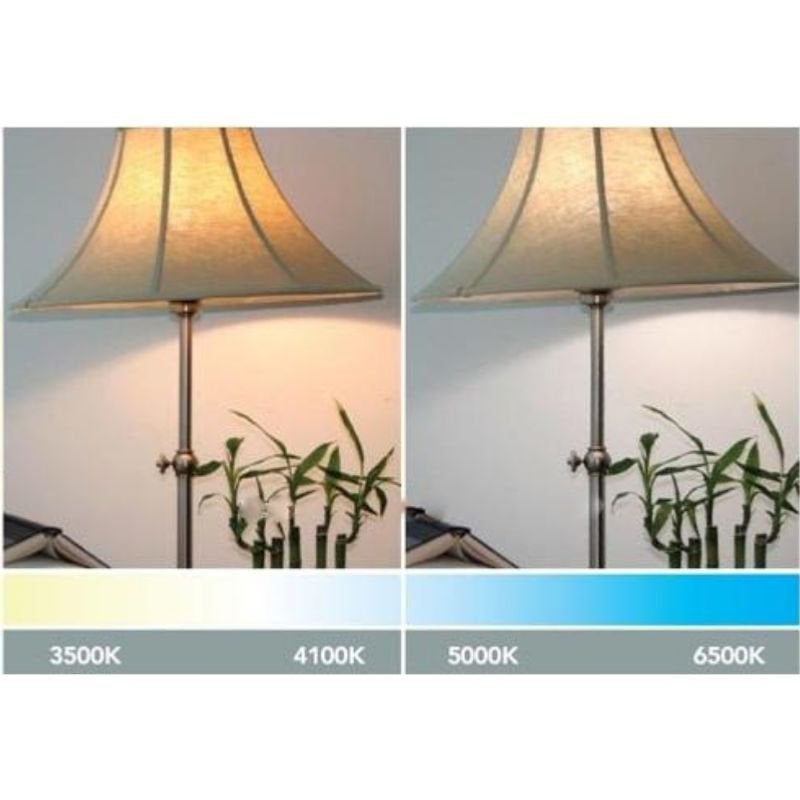 Ampoule LED GU4 / MR11 3W 12V - Pack de 10 / Blanc Froid 6000K - 8000K - SILUMEN - 3