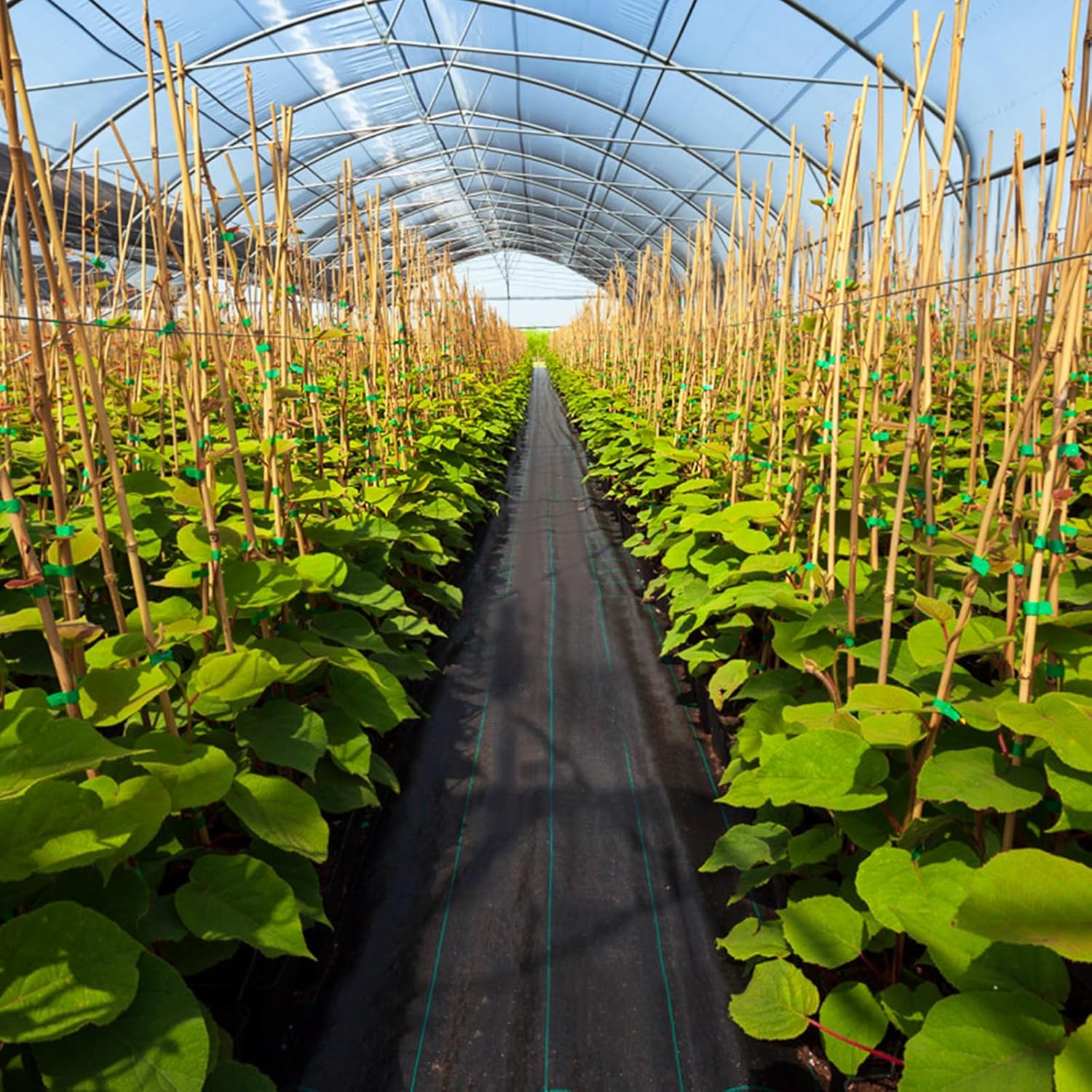 GardenMate 2m x 10m Telo per Pacciamatura 150 g/m² - Telo Antistrappo Contro Le Erbacce - Elevata stabilizzazione ai Raggi UV - Permeabile - 2m x 10m = 20 m²