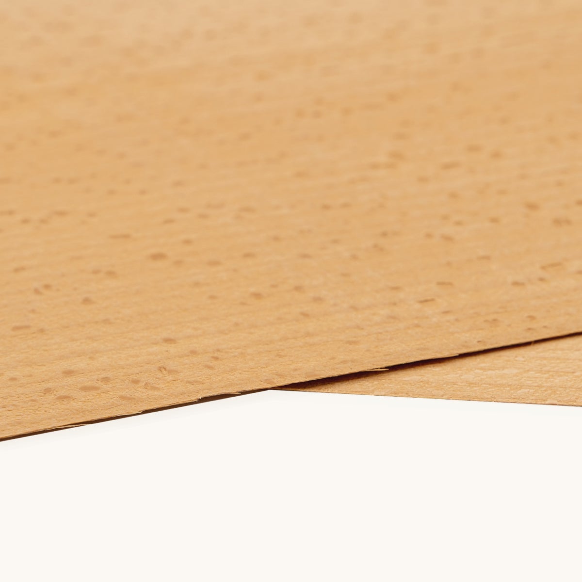 12 FOGLI DI IMPIALLACCIATURA IN LEGNO DI FAGGIO SEMIEVAPORATO - 3