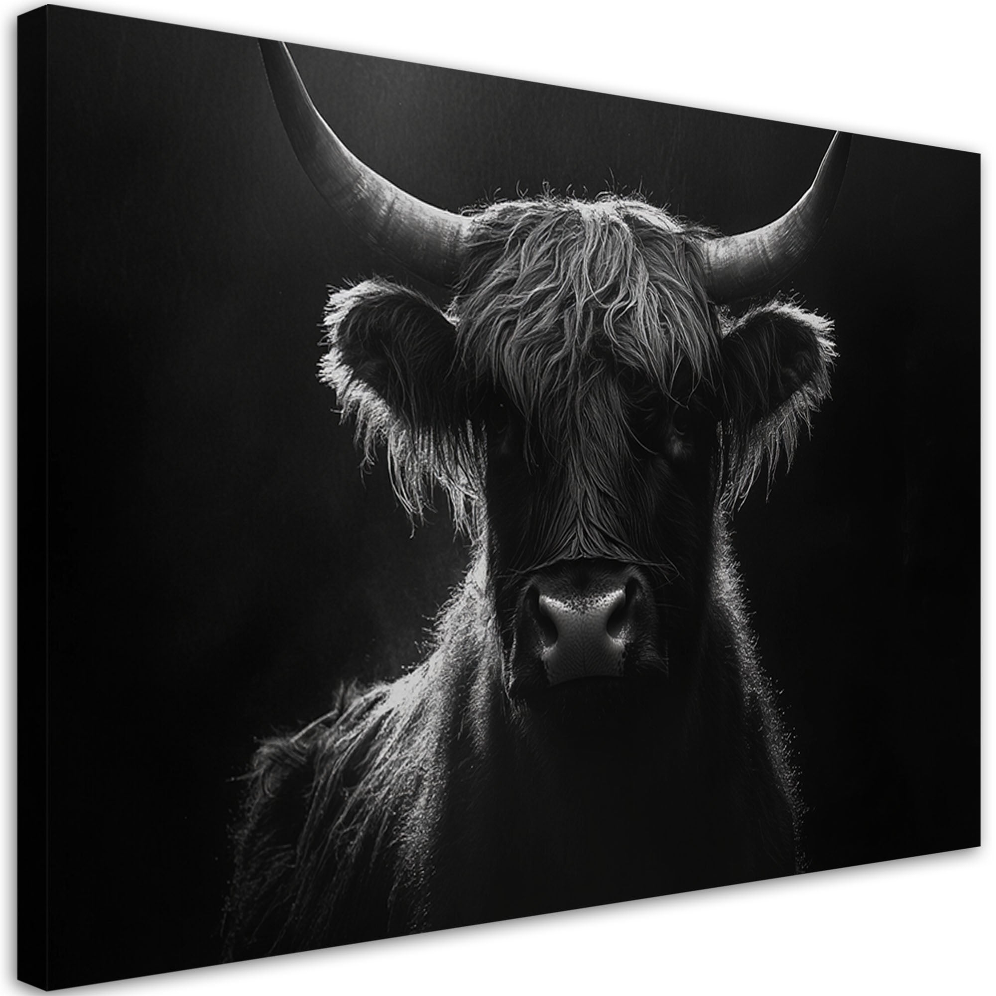 Obraz na płótnie, Krowa Szkocka Czarno Biały 120x80