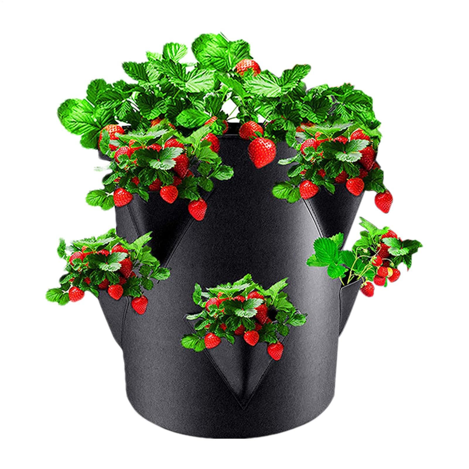 Jardinière de fraises – Conteneurs de culture pour fraises, sac à fraises à l'envers | Jardinière de fraises avec 12 trous, sacs de culture épais et respirants pour tomates et fraises joyeuses Jardinière de fraises – Conteneurs de culture pour fraises, sac à fraises à l'envers | Jardinière de fraises avec 12 trous, sacs de culture épais et respirants pour tomates et fraises joyeuses