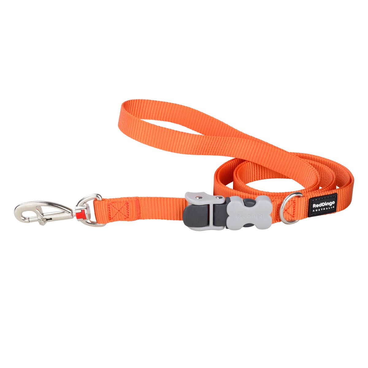 LAISSE IMPRIME LIGHTNING ECLAIR BLEU FONCÉ  - CHIEN RED DINGO