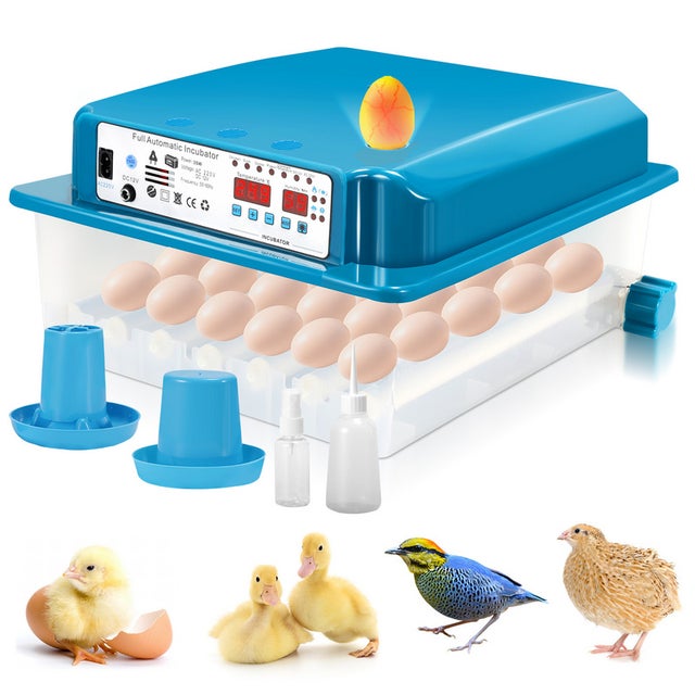 Incubadora automática de ovos, máquina profissional digital com LED, dois modelos opcionais, 36 ovos, verde.