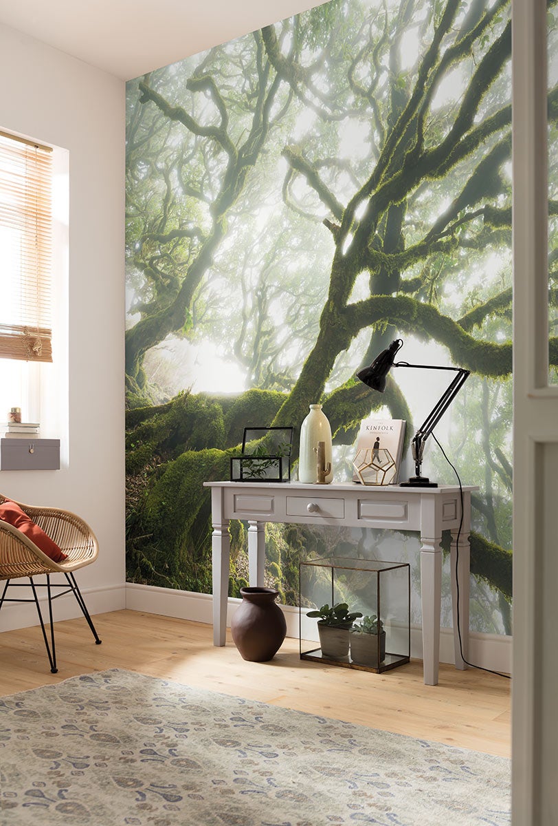 Fototapeta las zielonym - 400 x 250 cm - SANDERS &amp; SANDERS
