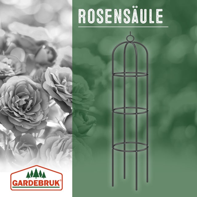 Tuteur de jardin 200 cm Colonne rosiers Support pour plantes grimpantes Ø 40 cm Obélisque de jardin