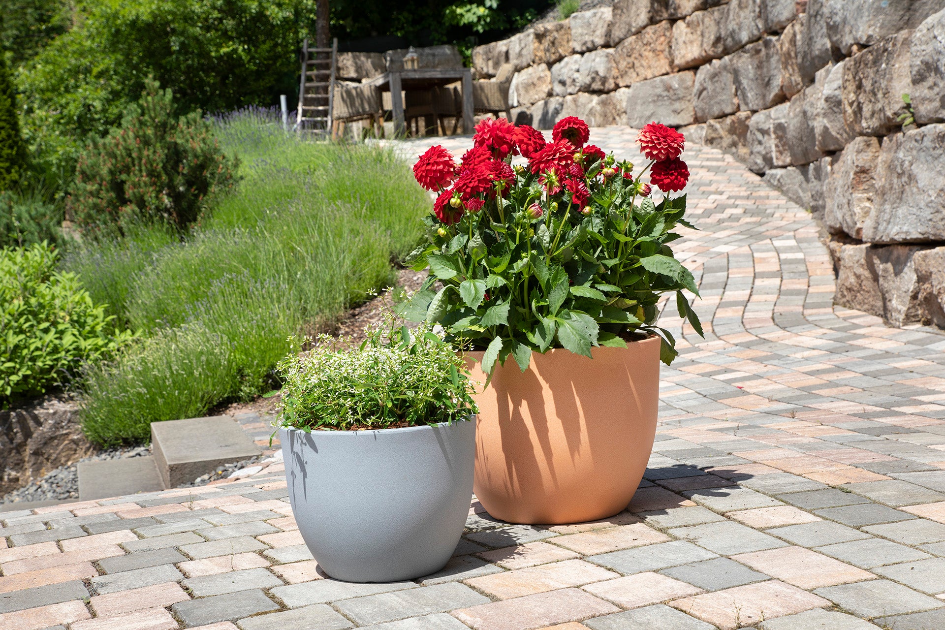 Scheurich Firenze 60, bac à plantes/pot à fleurs/jardinière, cylindrique, coloris: Stony Grey, fabriqué avec du plastique recyclé, pour l’extérieur - 4