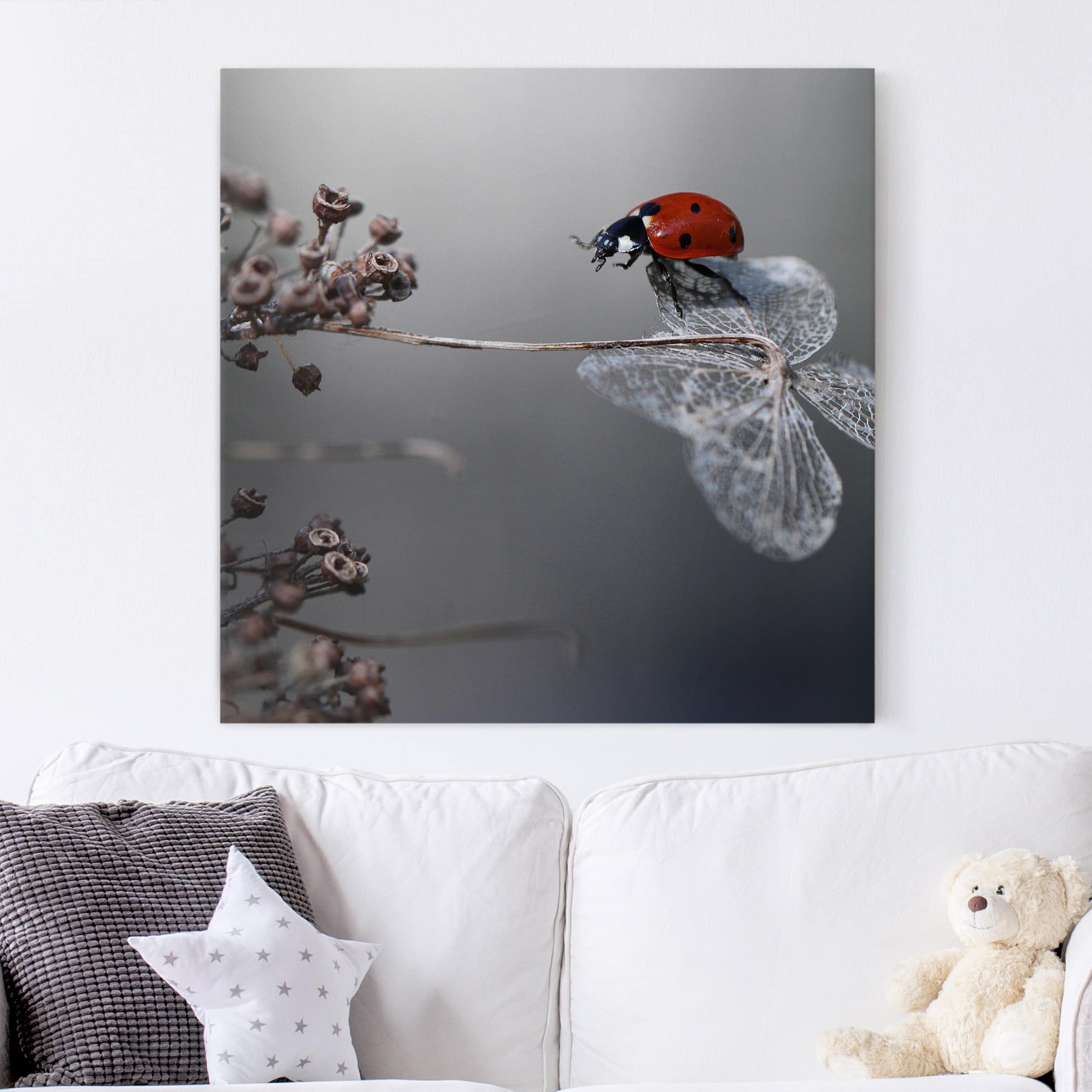 Lienzo cuadro en lienzo bastidor impresion en lienzo rojo planta fotografía animales 216 cuarto de baño dormitorio salón pasillo 30 x 30 cm