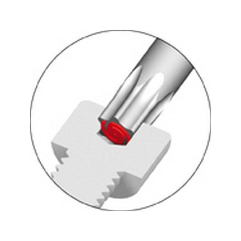 Tournevis TORX® avec porte-vis, Dimensions : T 25, Long. de la lame 100 mm, Long. totale 218 mm - 5