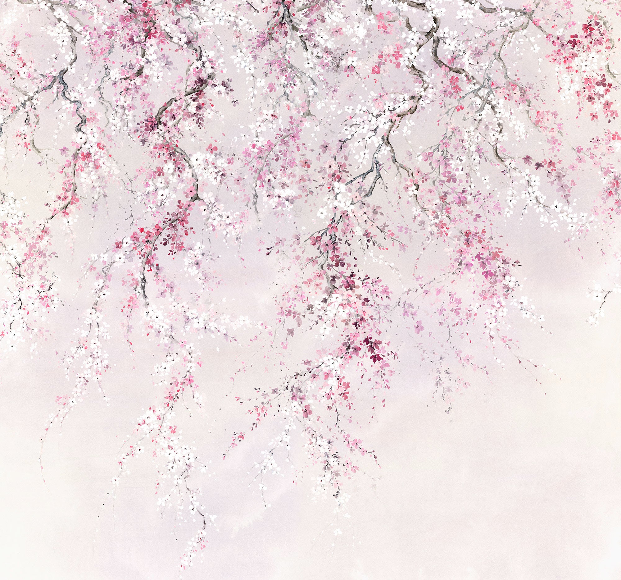 Fotomurale in tessuto non tessuto di Komar - Kirschblüten - Dimensione: 300 x 280 cm - 2