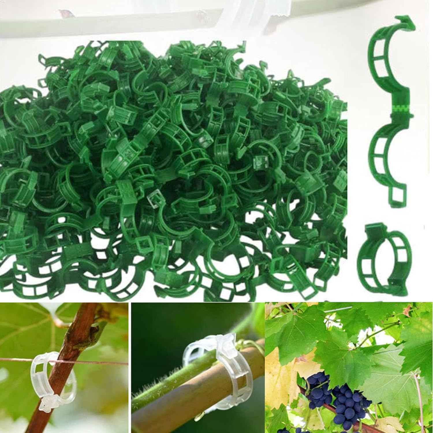 Clip Per Piante Rampicanti E Pomodori – 200 Pezzi Di Supporto Da Giardino (Verde E Bianco)