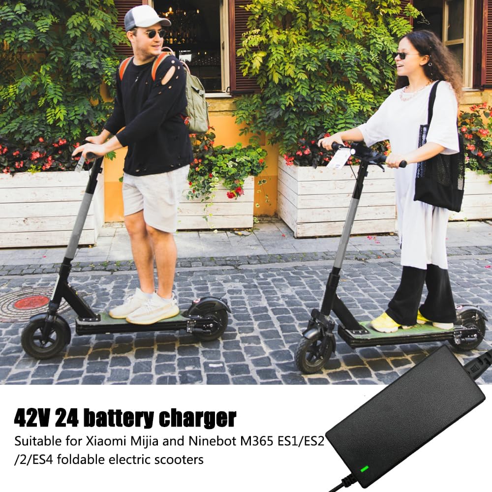 Caricabatterie per bici elettriche - Caricabatterie universale per scooter elettrici - 36 V/42 V 2 A - con 6 connettori per caricabatterie - 7