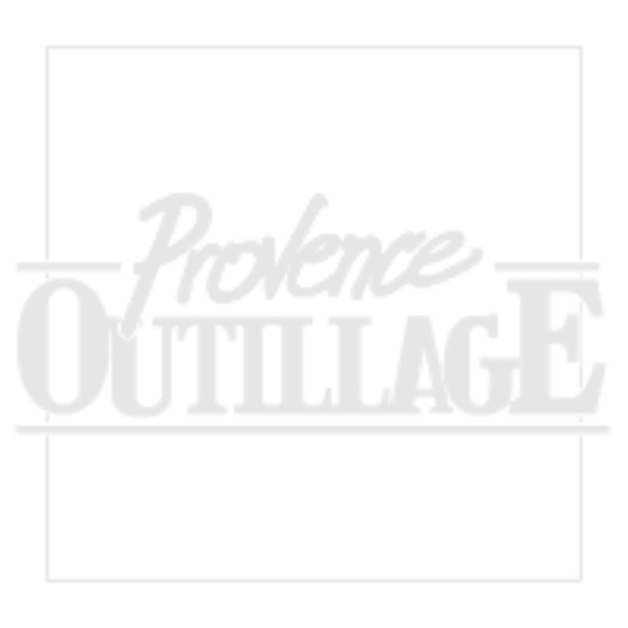 Bache transparente WERKA PRO 2 x 3 m 80 g m2 avec oeillets - 3
