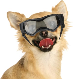 Casquette De Baseball & Lunettes De Soleil Pour Chien - Accessoire Réglable Avec Sangle Silicone - Protection Solaire Pour Animaux