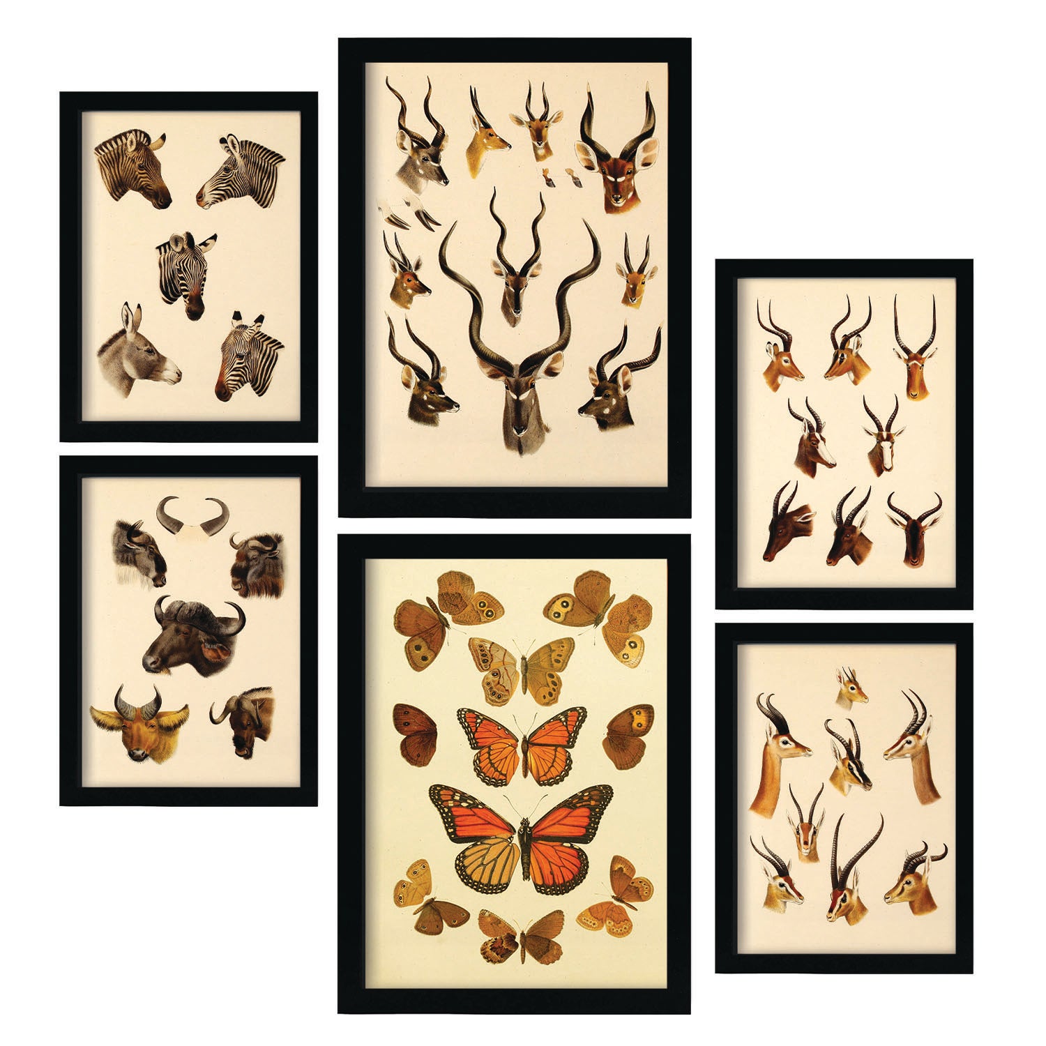 Stampe d'arte Poster di animali con cornice Gufo e gatto Pittura su tela Immagine moderna di arte della parete per soggiorno Cucina Decorazioni per la