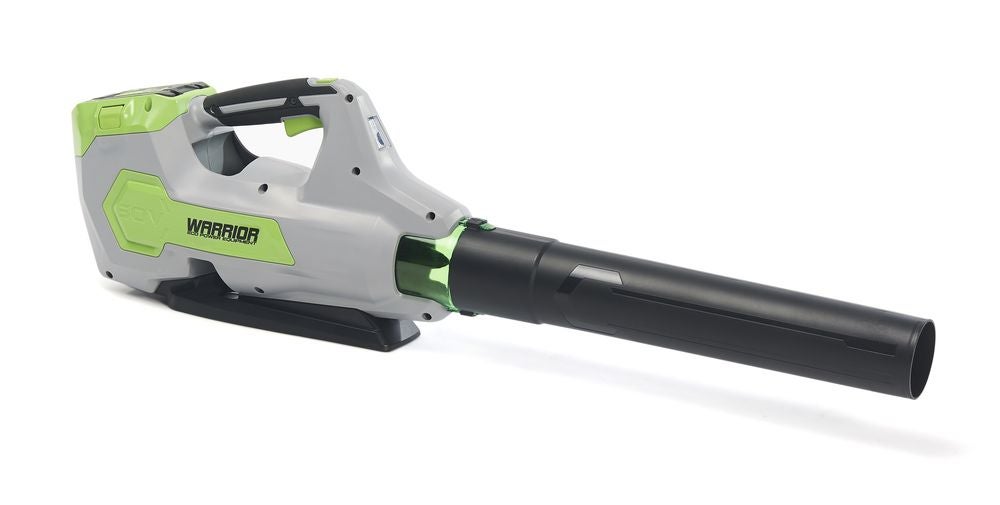 Souffleur de feuilles sans fil 60V sans batterie ni chargeur - 2