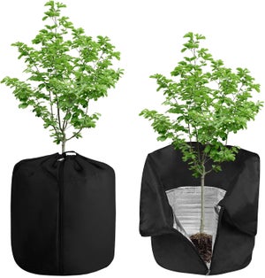 6 Housses D'hivernage Pour Plantes Extérieures - Protection Contre Gel Et Vent, Tailles Variables