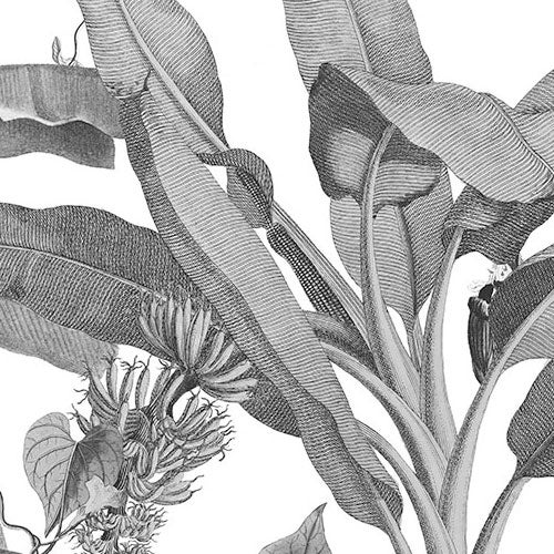 Fotomurale in tessuto non tessuto di Komar - Croissances Monochrome - Dimensione: 400 x 280 cm - 5