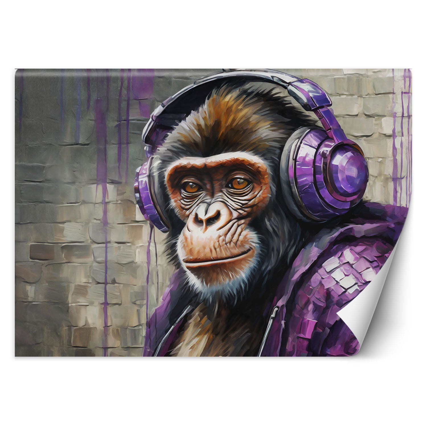 Fototapeta, Fioletowa małpka DJ 350x245