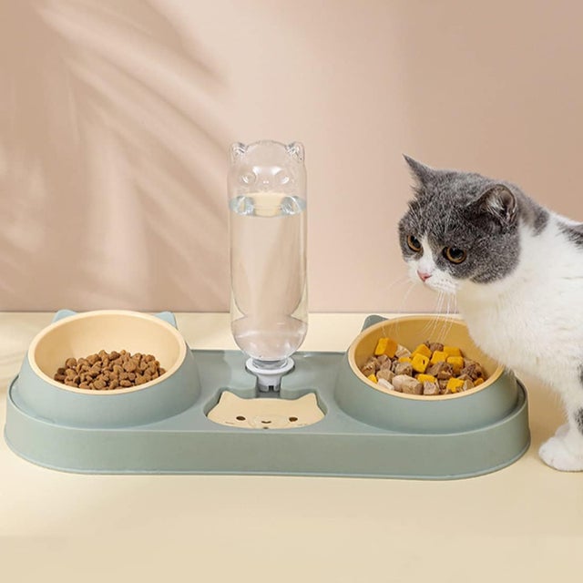 Tigela elevada para animais de estimação, dispensador automático 3 em 1, 2 tigelas e bebedouro, tigela para gatos