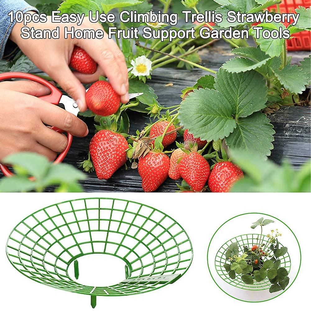 Cage de soutien pour plants de fraises, 10 pièces, grille d'escalade, support pour balcon, support pour fruits - 2