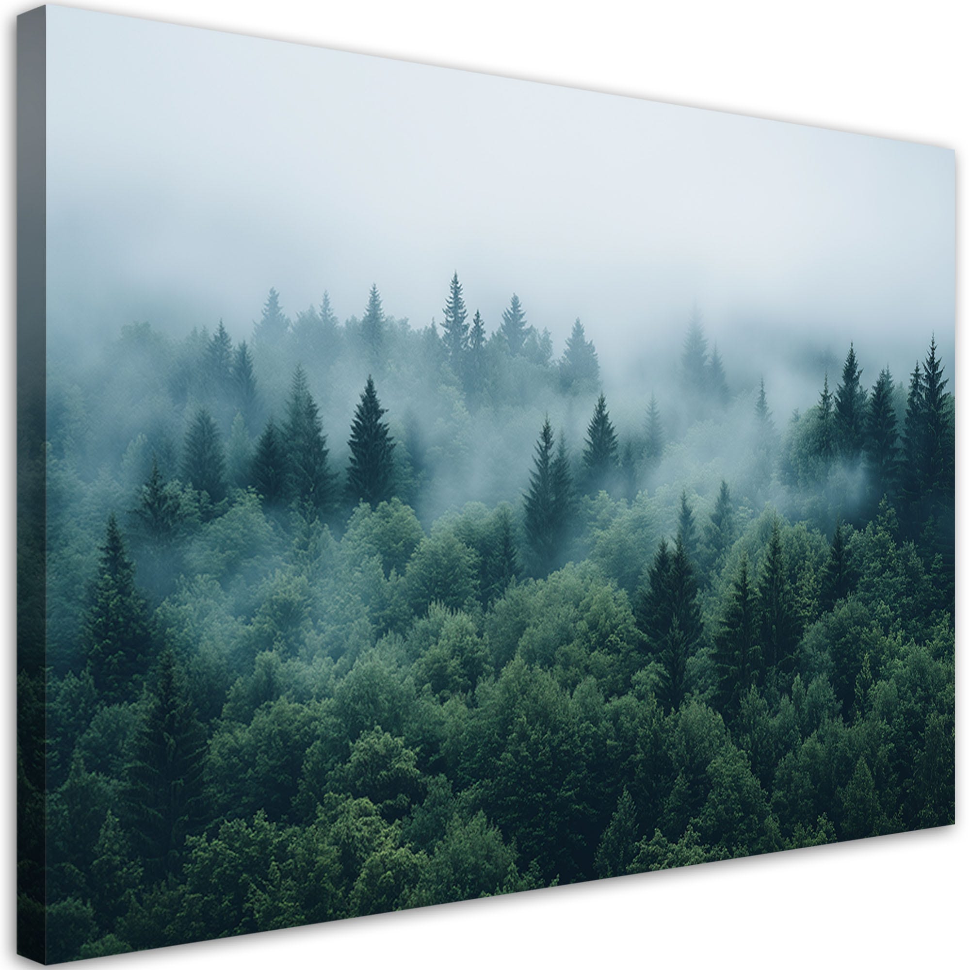 Quadro su tela, Foresta verde nella nebbia natura paesaggio - 120x80 ...