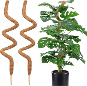 Tuteur fibre de coco monstera au meilleur prix | Leroy Merlin