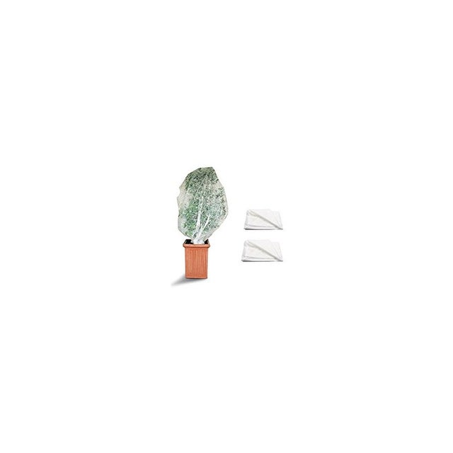 2 Pezzi 160x180cm Copertura Limone Inverno - Protezione Invernale per Piante Grandi - Cappuccio Protezione Piante Inverno - Telo Copripiante Invernale