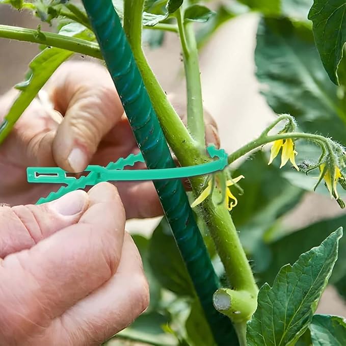 100 pces uteurs pour 17cm plantes attache plante Plante Clips,plastique, pinces Soutient les tomates, les poivrons - 6