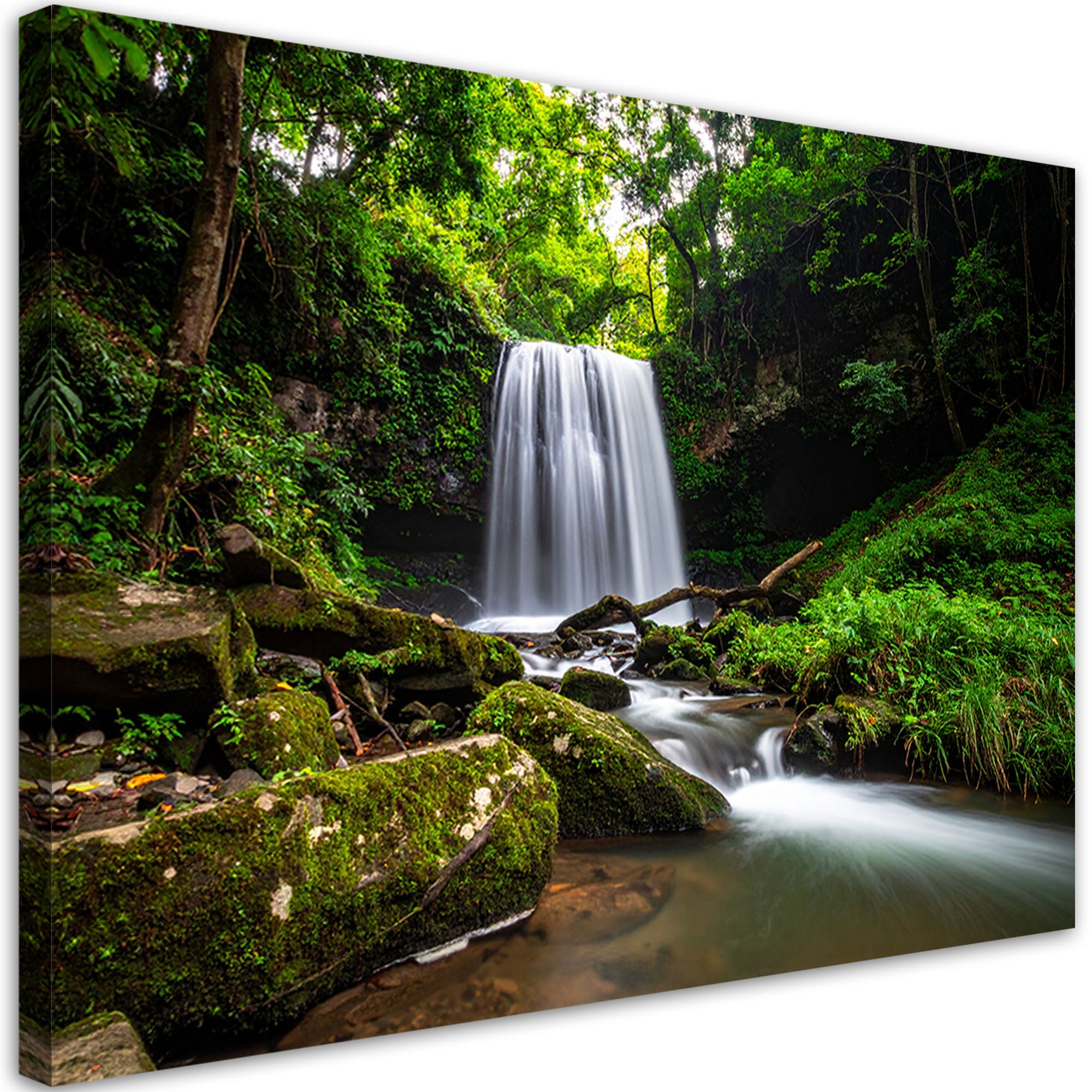 Obraz do salonu sypialni biura, Krajobraz wodospad drzewa natura 60x40