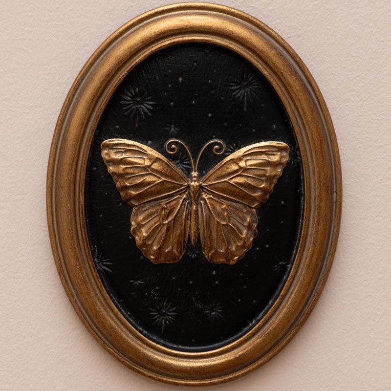 Ensemble 4 cadres insectes Entomologie 13x17cm - 5
